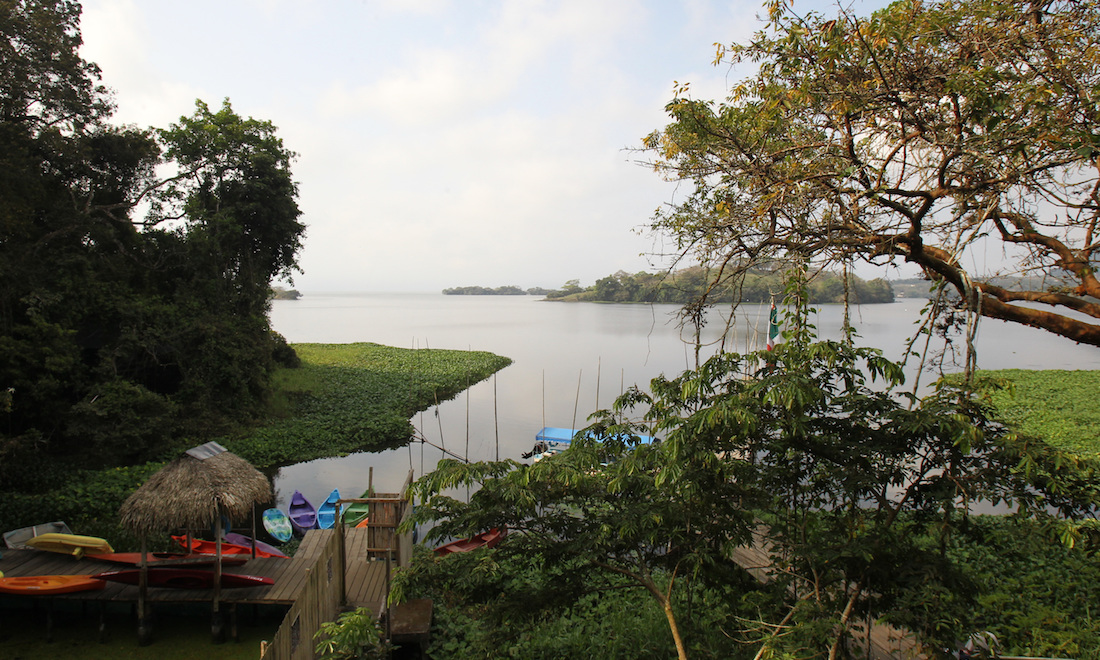 Catemaco, Ver.- La Reserva de la Biosfera Los Tuxtlas, con una superficie de aproximadamente 155 mil, abarcando parte de ocho municipios, entre ellos Catemaco.
Los Tuxtlas albergan una enorme biodiversidad debido a su posición geográfica y a la configuración del terreno. Biogeográficamente, se caracteriza por la presencia de taxa de afinidad austral, boreal y de endemismos.. /FOTOJAROCHA.COM/ Saúl Ramírez